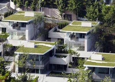 مازندران سرسبز است اما خانه سبز ندارد