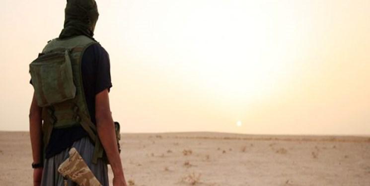 نماینده عراقی: داعش یک وجب از خاک عراق را نیز در اشغال خود ندارد