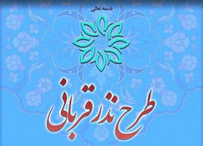استقبال گسترده خیران از طرح نذر قربانی در آذربایجان شرقی، هزار و 600 رأس قربانی ذبح شدند