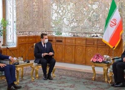 ملاقات سفرای ایتالیا و پاکستان با رئیس مجلس