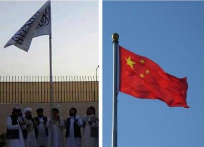فرایند صلح و امنیت شرکت های چینی؛ محور ملاقات سفیر چین با طالبان