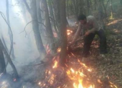 جنگل کجور نوشهر طعمه آتش شد ، آتش در کمین 80 هزار هکتار جنگل